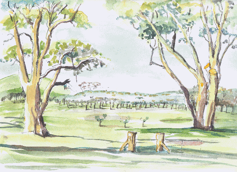 Frank De Luca's Property