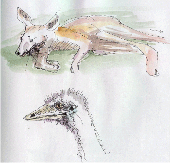 Cleland:  Cleland Wildlife Park