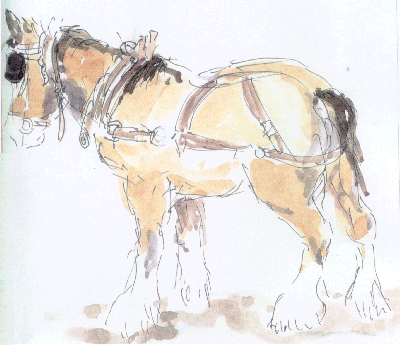 Workhorse, Clydesdales of Scottish origin, Sovereign Hill 01-01-21