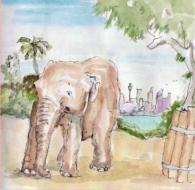 'Burma' in the Toronga Zoo, Sydney 00-12-25