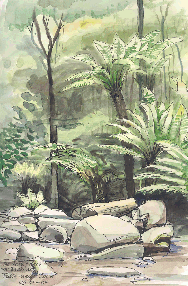 The Tree Ferns at Erskine Falls near Lorne 03-01-04