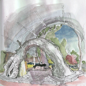 The old gum tree, 00-10-28