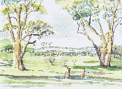 Frank De Luca's Property