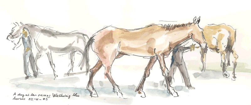 Walking the Horses - 02-11-05