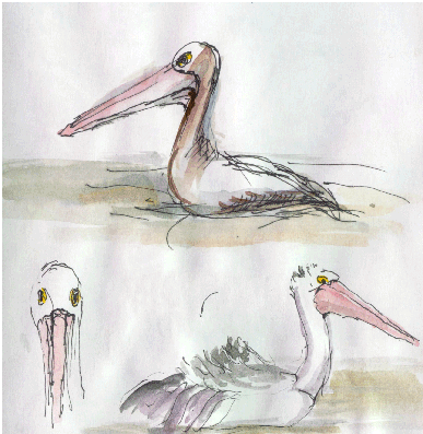 Pelicans 02-12-00