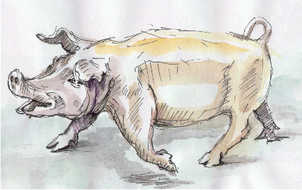 Augusta (see above), 00-10-28