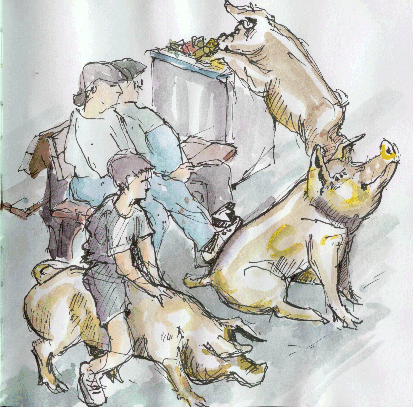 Truffles, Horatio, Oliver, 00-10-14