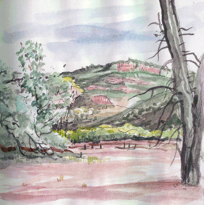 Flinders Ranges near Wilpena 00-12-15