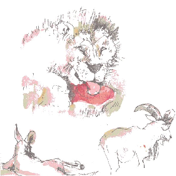 Adelaide Zoo, 00-10-29